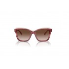 Sunglasses Emporio Armani EA 4209