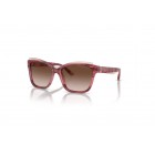 Sunglasses Emporio Armani EA 4209