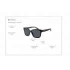 Sunglasses Emporio Armani EA 4209