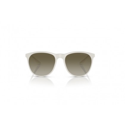 Sunglasses Emporio Armani EA 4210