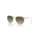 Sunglasses Emporio Armani EA 4210