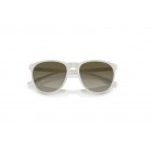 Sunglasses Emporio Armani EA 4210