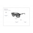 Sunglasses Emporio Armani EA 4210