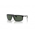 Sunglasses Emporio Armani EA 4212U