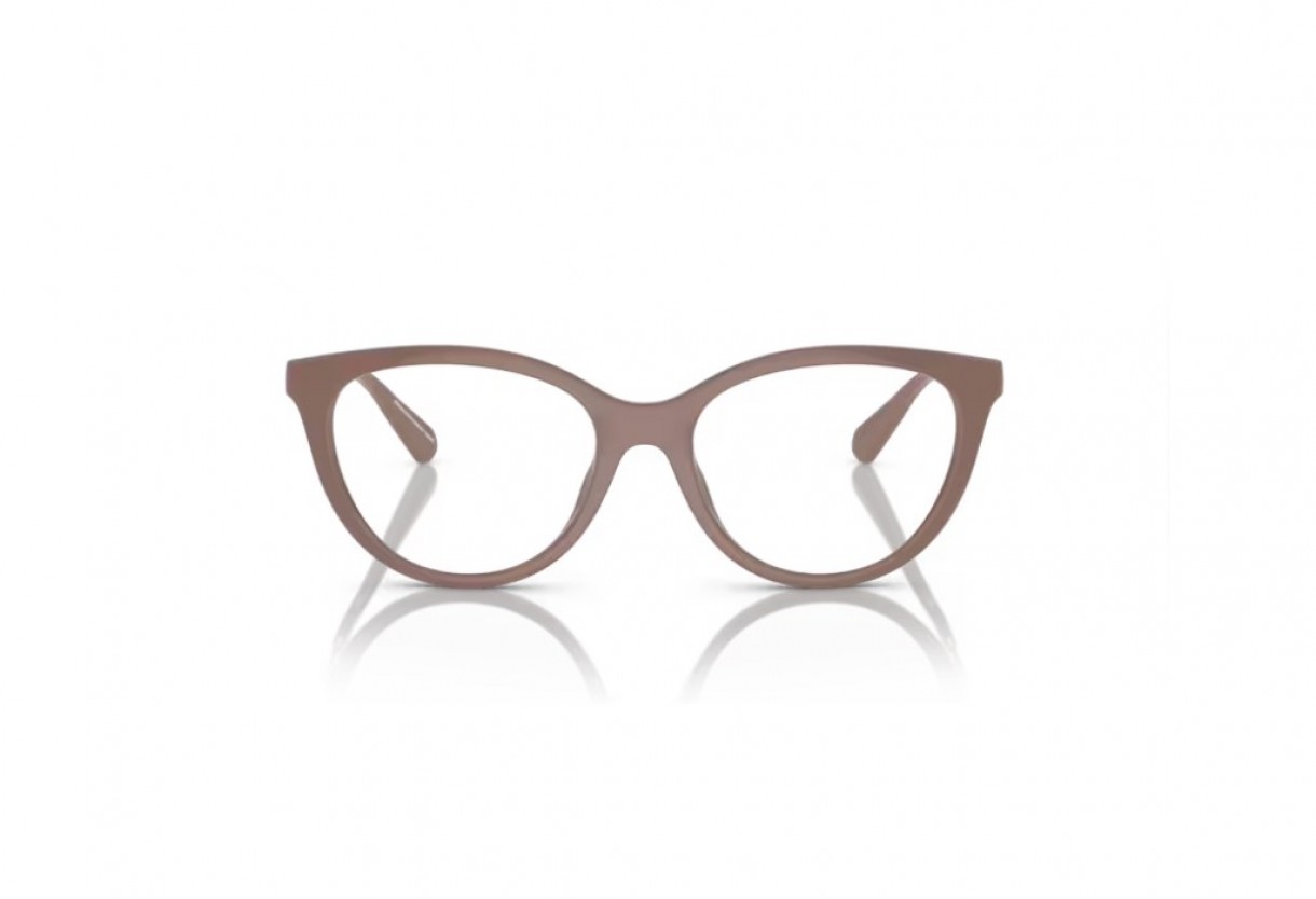 Eyeglasses Emporio Armani EA 4213U + Clip On