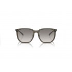 Sunglasses Emporio Armani EA 4215D