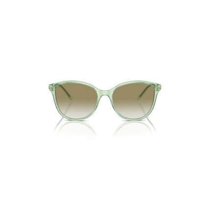 Sunglasses Emporio Armani EA 4220