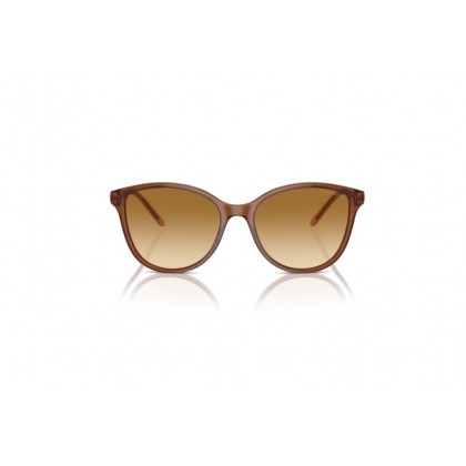 Sunglasses Emporio Armani EA 4220