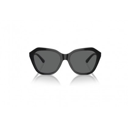 Sunglasses Emporio Armani EA 4221