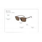 Sunglasses Emporio Armani EA 4223U