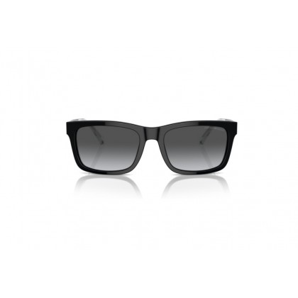 Sunglasses Emporio Armani EA 4224 Polarized