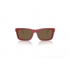 Sunglasses Emporio Armani EA 4224