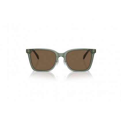 Sunglasses Emporio Armani EA 4226D