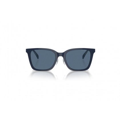 Sunglasses Emporio Armani EA 4226D