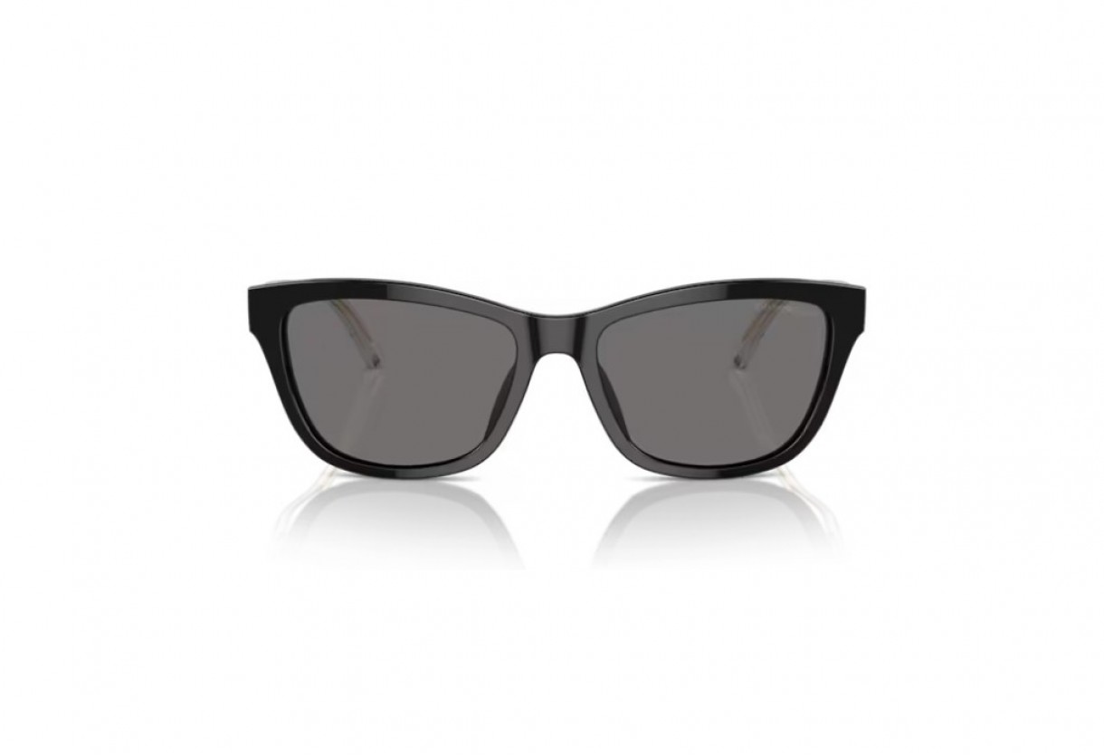 Sunglasses Emporio Armani EA 4227U  Polarized