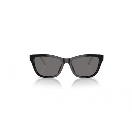 Sunglasses Emporio Armani EA 4227U  Polarized