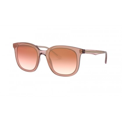 Sunglasses Giorgio Armani AR 8136