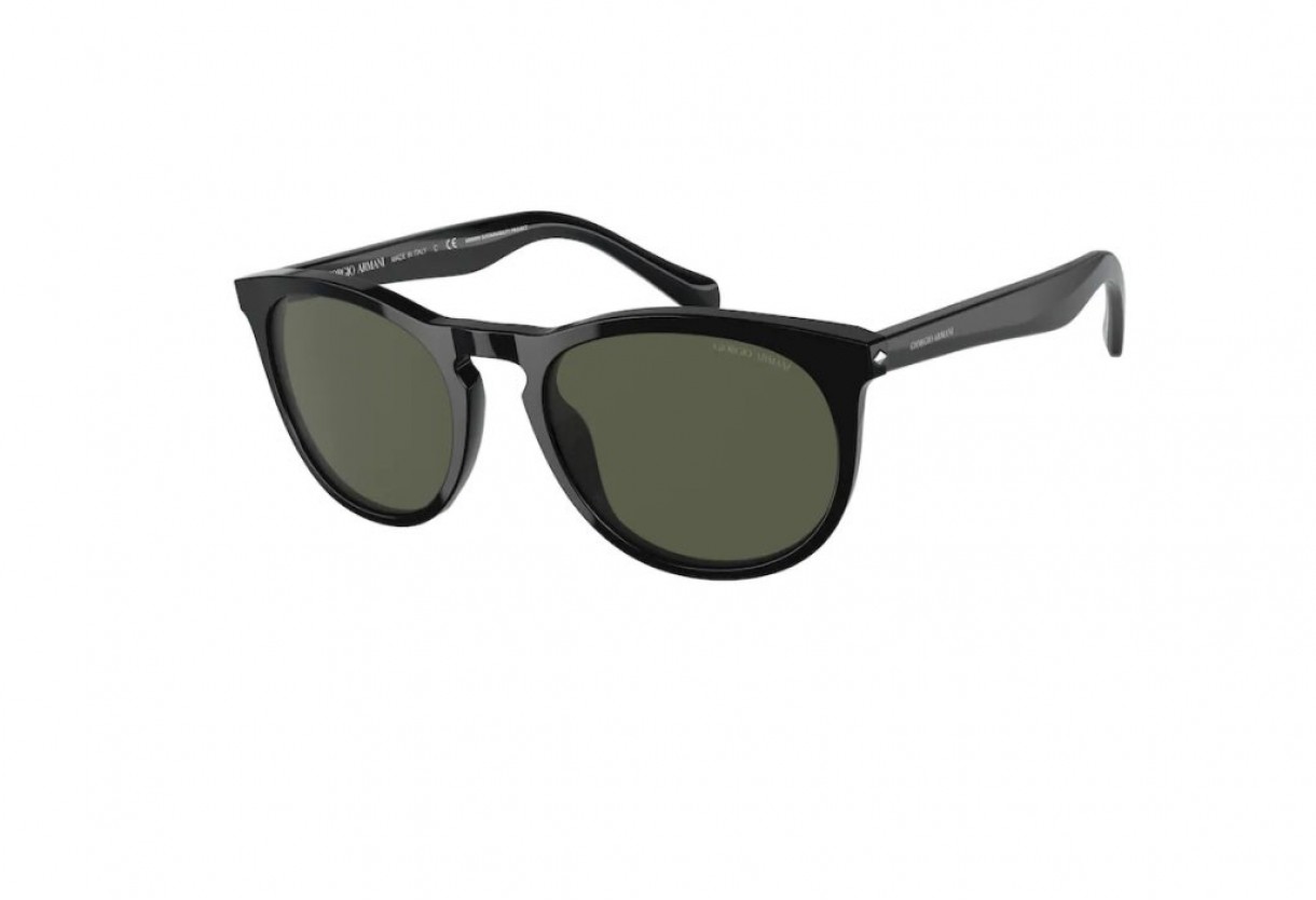 Sunglasses Giorgio Armani AR 8149