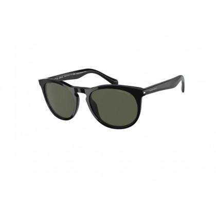 Sunglasses Giorgio Armani AR 8149