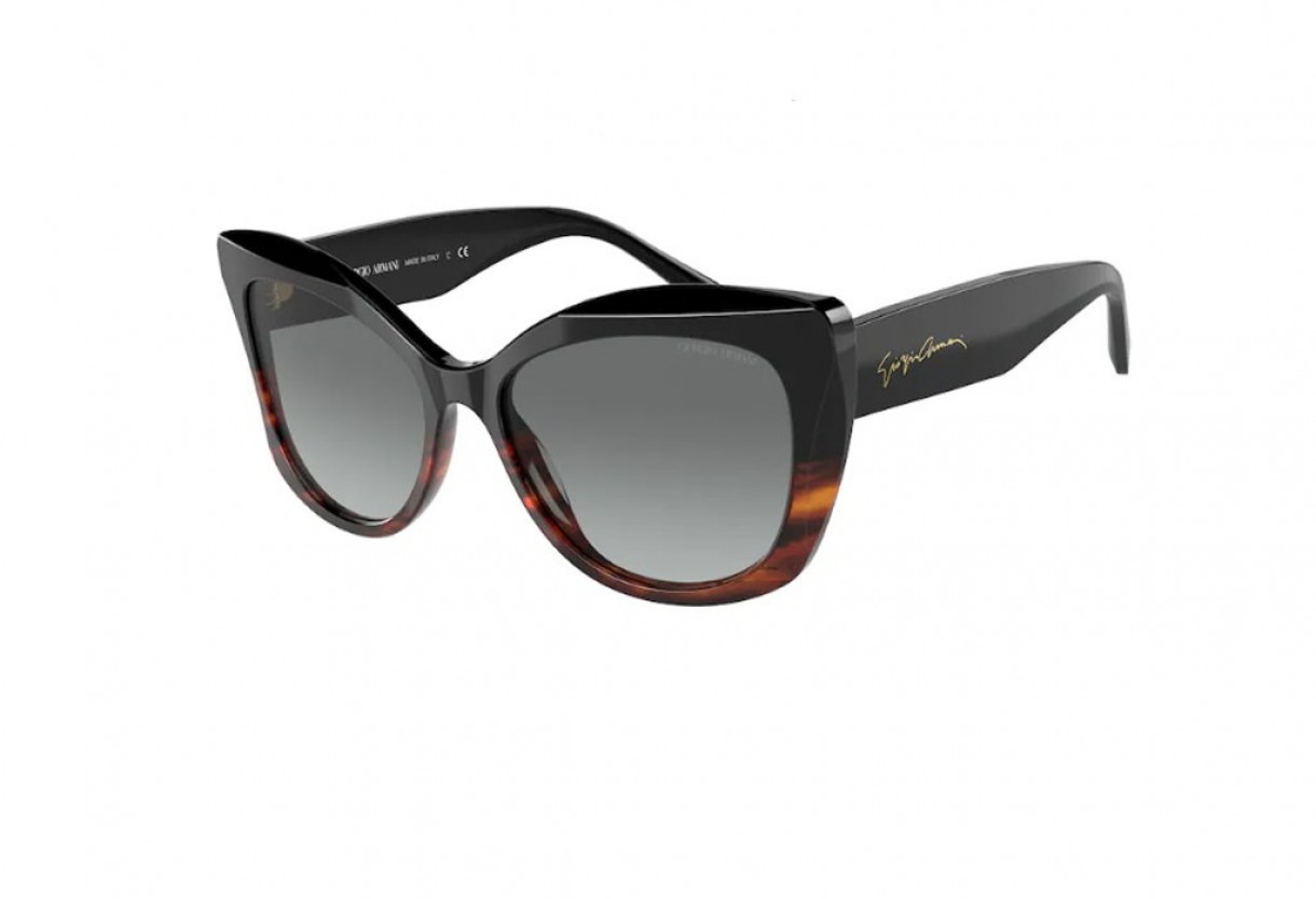 Sunglasses Giorgio Armani AR 8161