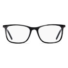 Eyeglasses Hugo Boss HG 1018