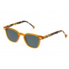 Sunglasses Kyme Fernando