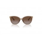 Sunglasses Michael Kors MK 2184U  Dupont Polarized