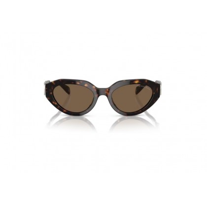 Sunglasses Michael Kors MK 2192 Empire oval