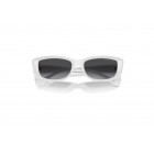 Sunglasses Michael Kors MK 2210U  Asheville