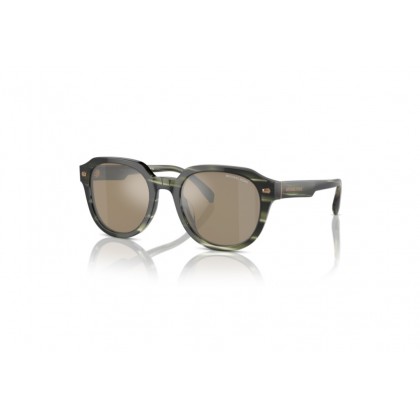 Sunglasses Michael Kors MK 2216U  Eger