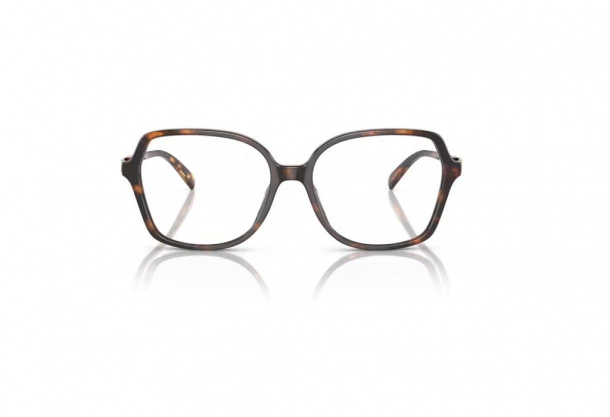 Eyeglasses Michael Kors MK 4111U Bernal