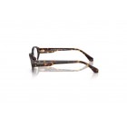 Eyeglasses Michael Kors MK 4139B  Corvara