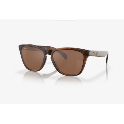 Γυαλιά ηλίου Oakley OO 9013 Frogskins Prizm Everyday Tungsten