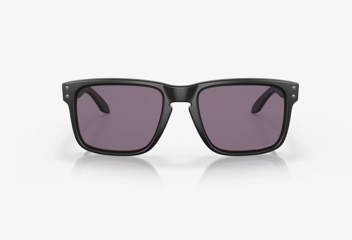 Sunglasses Oakley OO 9102 Holbrook Prizm Everyday