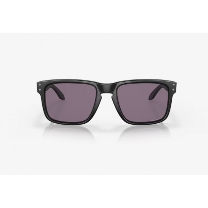 Sunglasses Oakley OO 9102 Holbrook Prizm Everyday