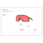 Γυαλιά ηλίου Oakley OO 9462 Sutro S Prizm Ruby