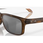 Sunglasses Oakley OO 9102 Holbrook Prizm Every Day Black