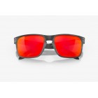 Sunglasses Oakley OO 9102 Holbrook Prizm Every Day Ruby