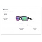 Sunglasses Oakley OO 9188 Flack 2.0 XL Prizm Every Day Ruby