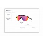 Sunglasses Oakley OO 9248 Corridor Prizm 24k