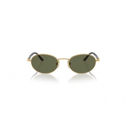 Sunglasses Persol PO 1018S  Ida Polarized