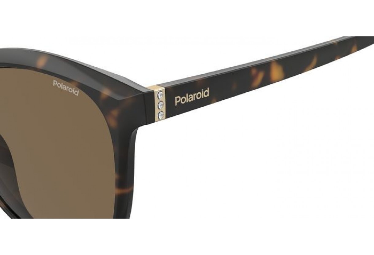 Sunglasses  Polaroid PLD 4100/F/S Polarized