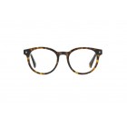 Eyeglasses Polaroid PLD D519