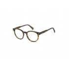 Eyeglasses Polaroid PLD D519