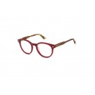 Eyeglasses Polaroid PLD D519