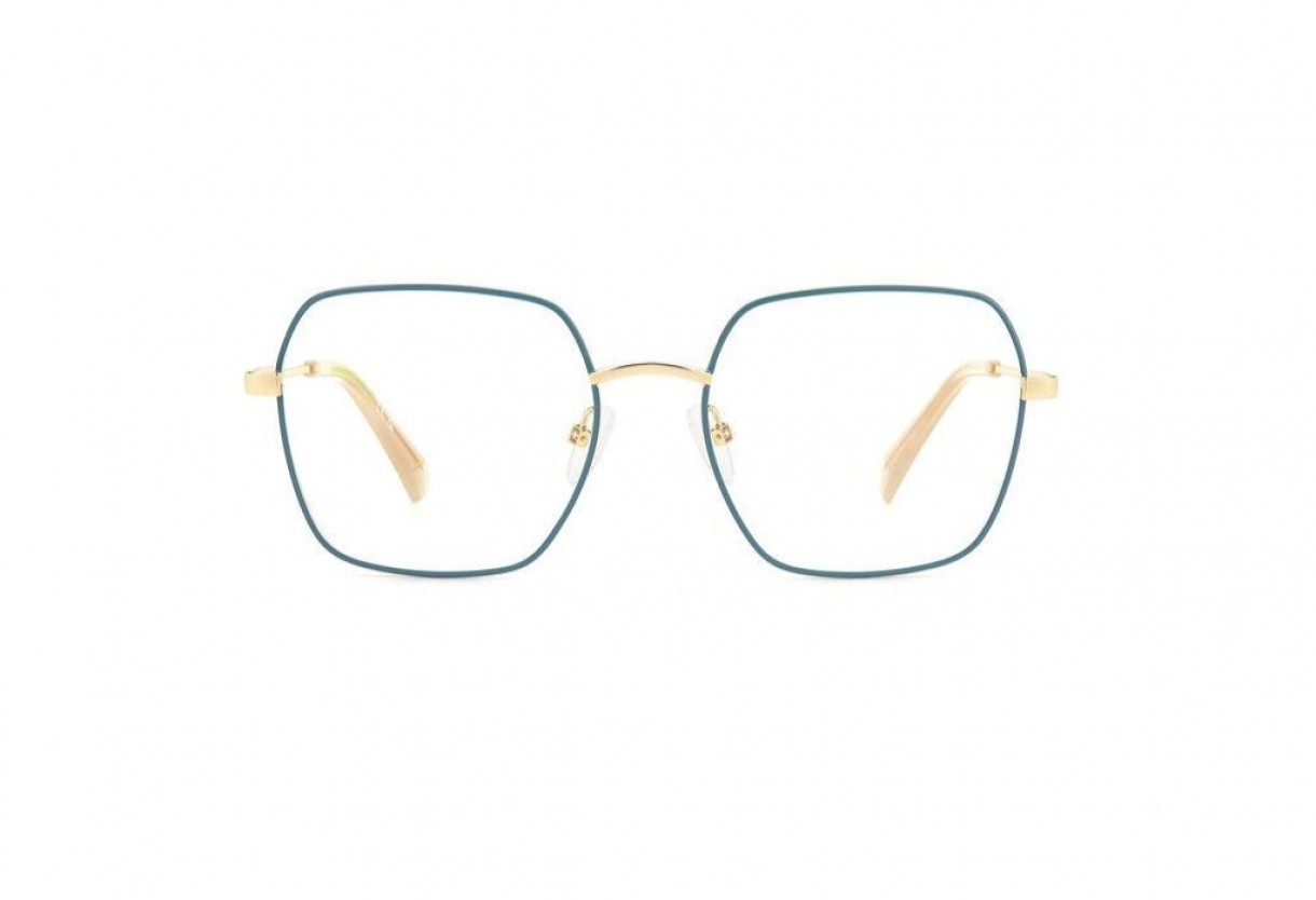 Eyeglasses Polaroid PLD D530