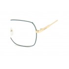 Eyeglasses Polaroid PLD D530