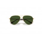 Sunglasses Polo Ralph Lauren PH 3148