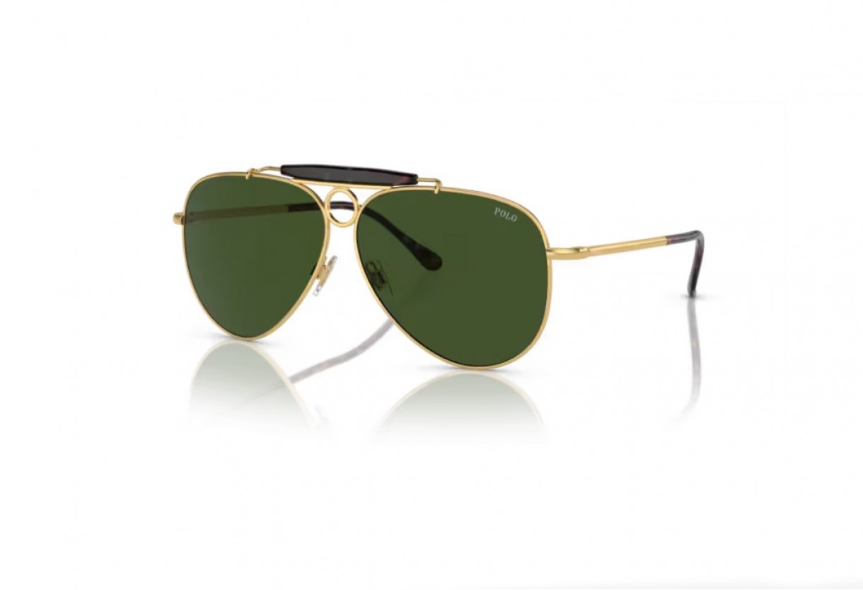 Sunglasses Polo Ralph Lauren PH 3149