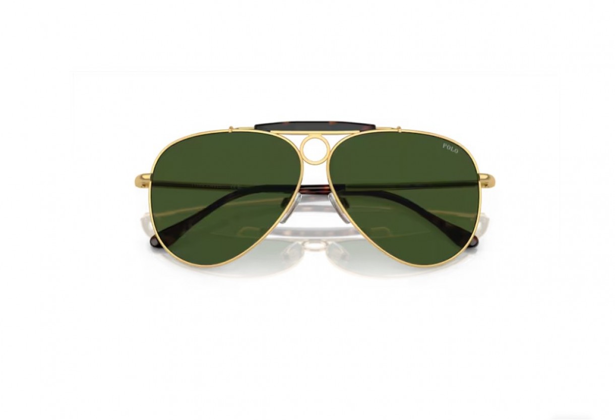 Sunglasses Polo Ralph Lauren PH 3149